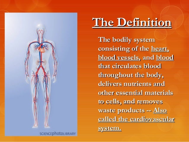 circulatory system diseases